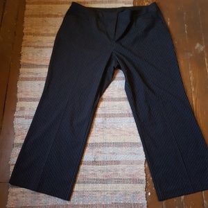 Lane Bryant Trousers